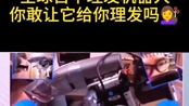 专业的理发机器人来了,有谁需要理发吗?#在家理发大赏