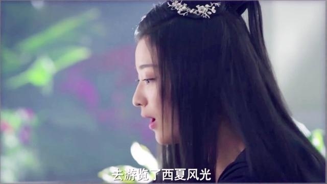 将军在上：表妹使出蛇蝎美人离间计，为叶昭而辜负那么好的太子