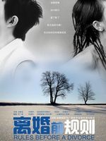 离婚前规则 DVD版