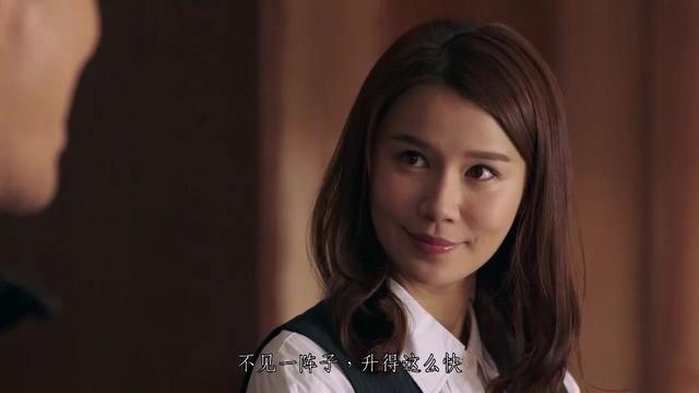 《使徒行者2》预告片 TVB当家花旦黄翠如特辑