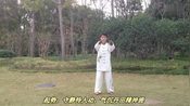 正宗杨澄甫势传统杨氏太极拳85式口令