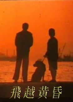 飞越黄昏