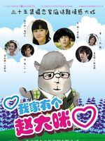 我家有个赵大咪