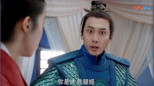 将军在上：狐狸要替将军出征，却被嫌弃腿短，论小短腿的悲哀啊！