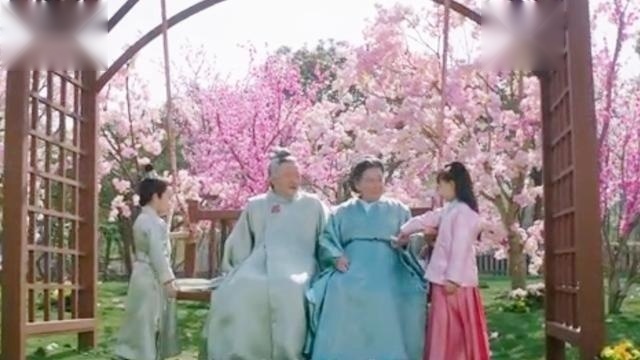 《将军在上》：马思纯盛一伦夫妇老年儿孙满堂，叶昭维护赵玉瑾！