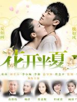 花开半夏 DVD版