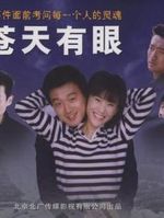 苍天有眼 TV版