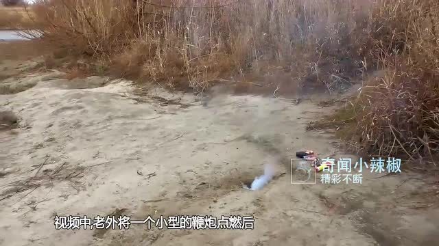 作死老外往地洞扔鞭炮，下一秒不可思议的事情发生，镜头拍下全过程