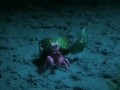 海底总动员2：多莉去哪儿(预告片4)