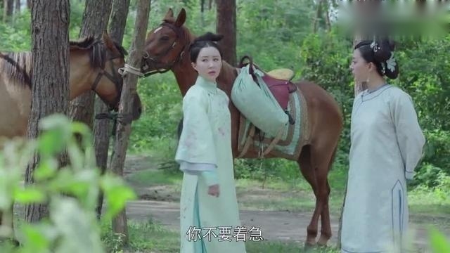 龙珠传奇：婉心欲离开，转身看到孟祥和，立马飞奔拥抱