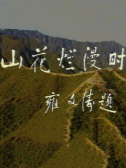 山花烂漫时