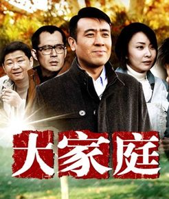 大家庭 TV版