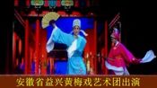 城隍庙演出庐剧《十八相送 白兰花》张奇 姜云
