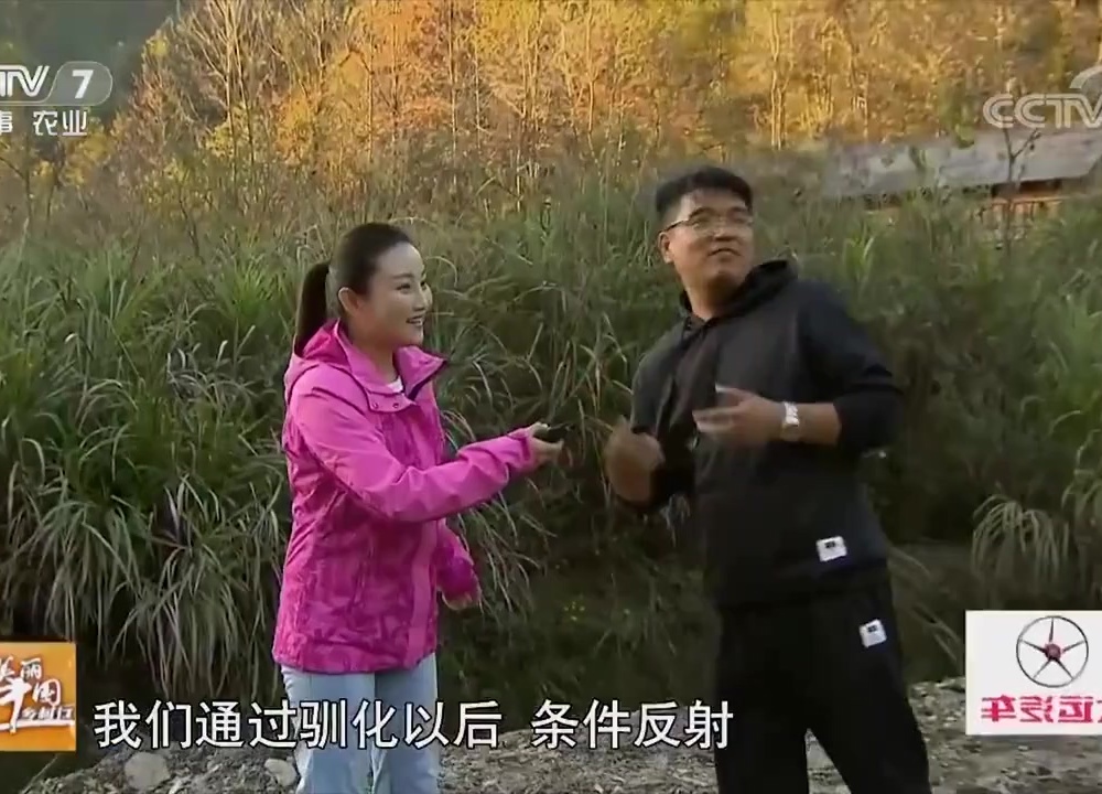 美丽中国乡村行：大哥说猪吃的那么香，他也想吃，于是直接吃起来