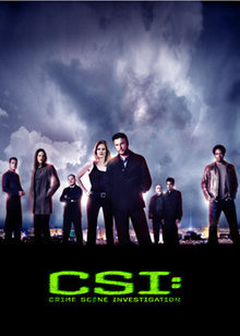 犯罪现场调查 第4部