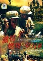 激情燃烧的岁月 第3部