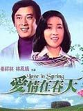 爱情在春天