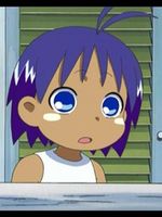 热带雨林的爆笑生活