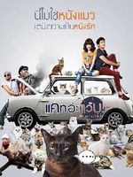 擅离职守的猫咪