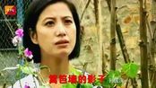 醉人又经典,深情动人,句句入心扉04:27毛阿敏《篱笆墙的影子》,电视剧