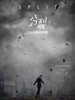 分裂1(906号患者档案)
