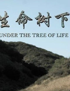 生命树下