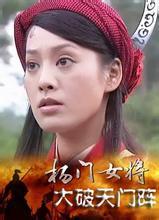 杨门女将15(大破天门阵)