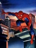 超级蜘蛛侠 TV版