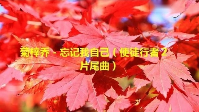 菊梓乔—忘记我自己（使徒行者2 片尾曲）