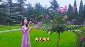 一首《花落相思梦,伴你入眠,睡梦中的她长什么样子呢