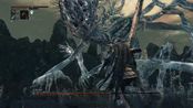 bloodborne血源 boss 亚米达拉