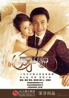 男才女貌 第1部