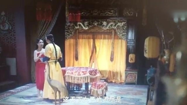 《龙珠传奇》杨紫舒畅大打出手