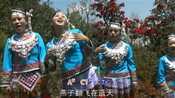 苗族歌曲阿卯歌曲"威宁苗歌集"歌曲《木叶情歌》