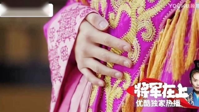 《将军在上》大夏两位王子自相残杀，黑云儿子成为唯一的继承人