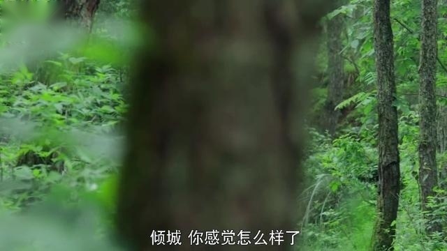 龙珠传奇之背人，两种画风你喜欢哪一个