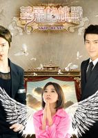 华丽的挑战 DVD版