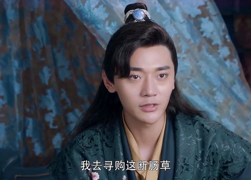 绝世千金王爷生病江轩宇寻断肠草林洛景失踪喜鹊痛哭
